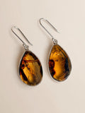 Natural Amber Earrings